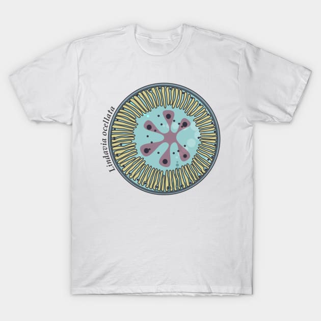 Diatom - Lindavia ocellata (scientific) T-Shirt by DiatomsATTACK